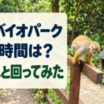 「長崎バイオパーク 所要時間は？ 2歳児と回ってみた」の文字入り、リスザルの実写を使ったアイキャッチ画像