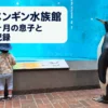 長崎ペンギン水族館の水槽前に立つ1歳11か月の子どもとペンギン模型