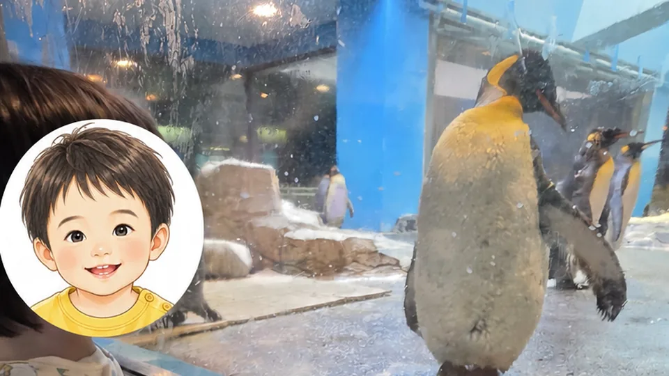 長崎ペンギン水族館でガラス越しのペンギンを見る1歳11か月の息子